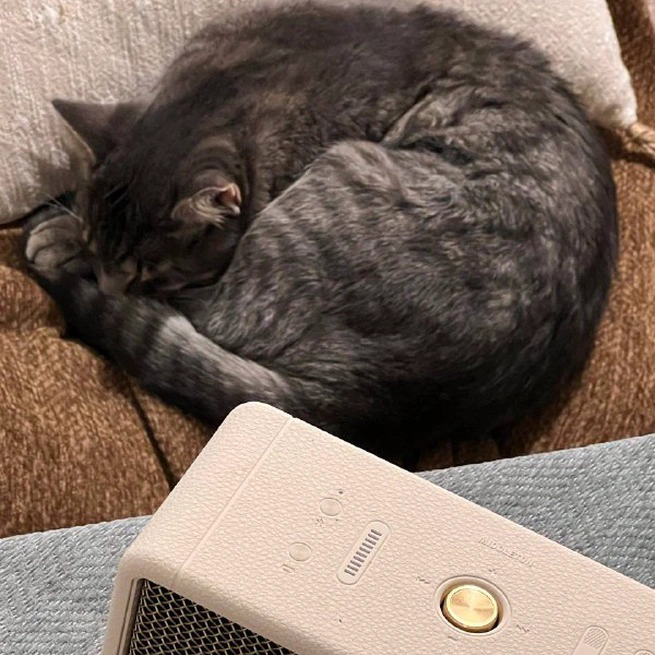 周报4 平淡的一周